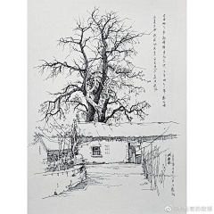 月下行无涯采集到濯清涟而不妖