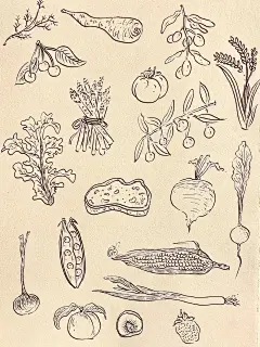 黑白简笔画｜食物插画｜线描｜烹饪艺术_1_Hou Hanye_来自小红书网页版