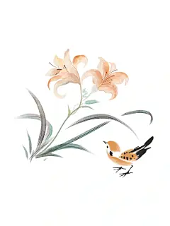 古风花鸟水墨假山插画分享 - 小红书