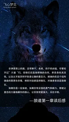 狼道第一章读后感