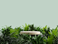 wooden-podium-tropical-forest-product-presentation-green-wall3d-rendering