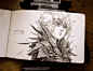 ArtStation - Inktober 2015 complete !, Xavier Collette