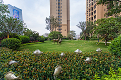 景观设计-陈师傅采集到住宅景观