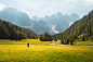 Landscapes of Trentino