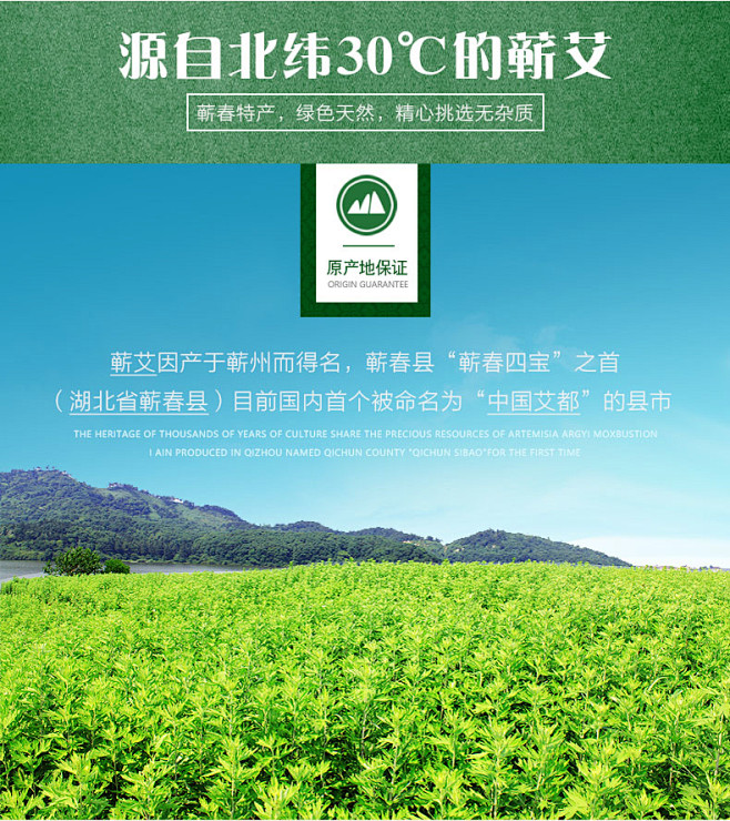 加粗艾条4cm蕲艾叶条悬灸大号雷火灸养生...