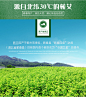 加粗艾条4cm蕲艾叶条悬灸大号雷火灸养生馆艾绒家用熏艾灸条-tmall.com天猫