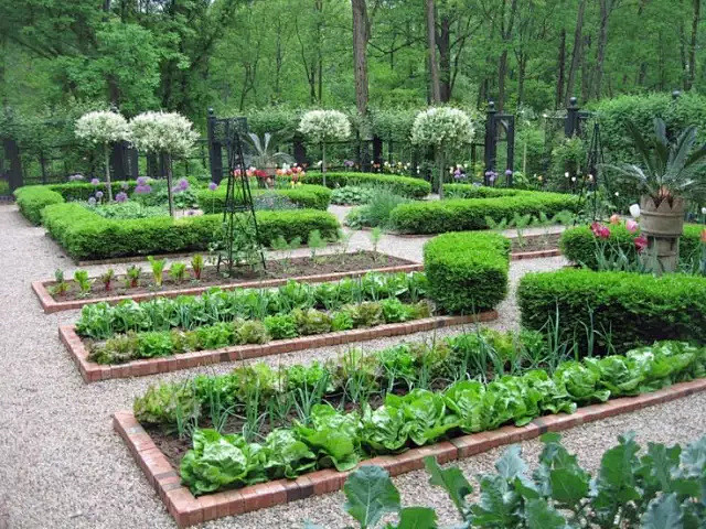 蔬菜花园这么造，盛下满园春光！