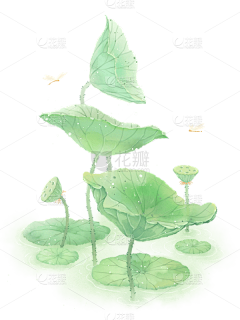 蜜汁微笑Y采集到船落