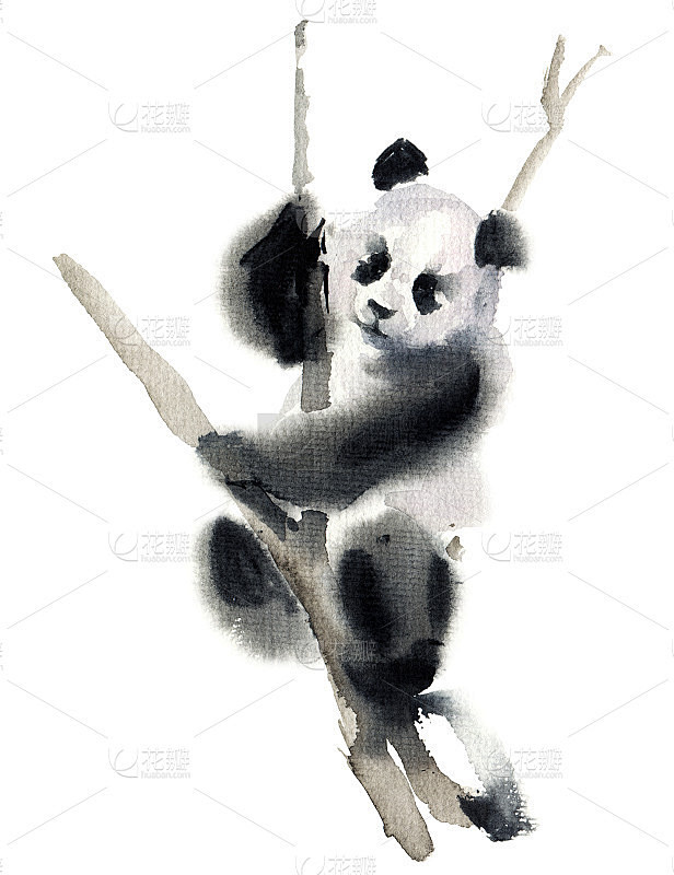 水彩熊猫