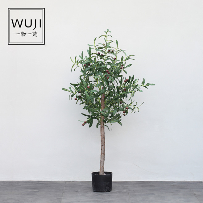 大型落地北欧ins植物仿真水泥花器橄榄树...