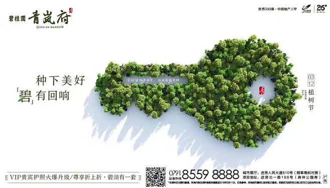 碧桂园 植树节