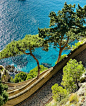 从那不勒斯出发，沿着海岸线一直往南走，来到阿马尔菲海岸（Amalfi Coast）——屡屡入选最美公路旅行。长长的公路盘桓在陡峭的海岸崖壁上，一路经过一个个小镇、教堂、橄榄园和停满游艇的码头——地中海风情扑面而来。