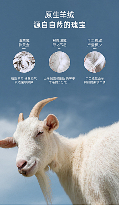 拥抱阳光的阿狸采集到详情-棉花/纤维 布料