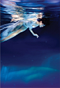 【C021】MACCHIATO系列水下摄影《莲生》。MOKA携手MACCHIATO，一起带你潜入深蓝色的静谧，让灵魂开出纯白的莲花……