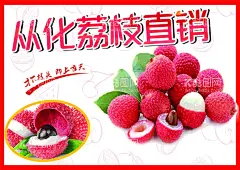 荔枝  - 源文件下载【酷图网】荔枝,荔枝海报,荔枝广告,荔枝上市,新鲜荔枝,荔枝促销,荔枝文宣,荔枝直通车,淘宝荔枝,荔枝详情页,从化荔枝,超市荔枝,荔枝吊旗,荔枝挂画,荔枝展板,手绘荔枝,荔枝包装,水果店荔枝,超市荔枝宣传,超市荔枝布置,荔枝采摘