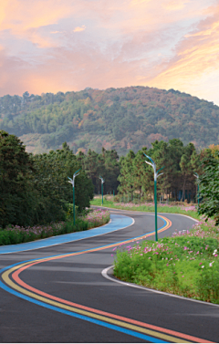 TZe6SwbO采集到景