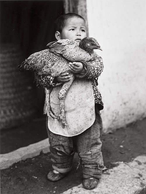 Arthur Rothstein, Un...