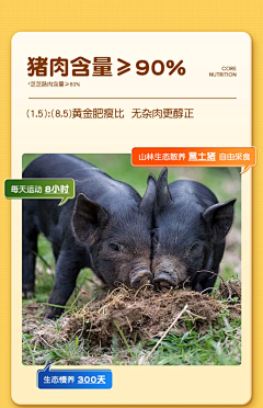 尹会雨采集到直播间