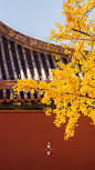 001TVDbigy1h7v9de6x9cj60u01hcas102.jpg (1080×1920)