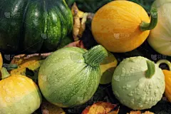 南瓜,小的,秋天,背景,华丽的,水平画幅,无人,传统,生食,庆祝