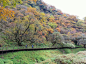 【携程攻略】 大九湖国家湿地公园景点图片-C-IMAGE上传于2021-05-19