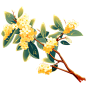 千库网_中秋节手绘桂花枝叶24_元素编号13769399