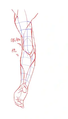 人体素材