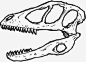 deinonychus头骨动物恐龙图标_88ICON https://88icon.com deinonychus头骨 动物 恐龙 古生物学 恐龙化石 恐龙头骨 动物头骨 死恐龙 古生物学家 dinoskullscuzdinosrcool