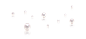 珍珠