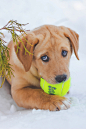 (99+) Tumblr