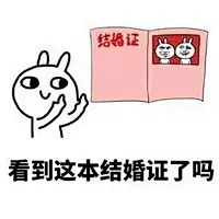 看到这本结婚证了吗表情包 看到这本结婚证了吗我和胡一天的_腾牛个性网