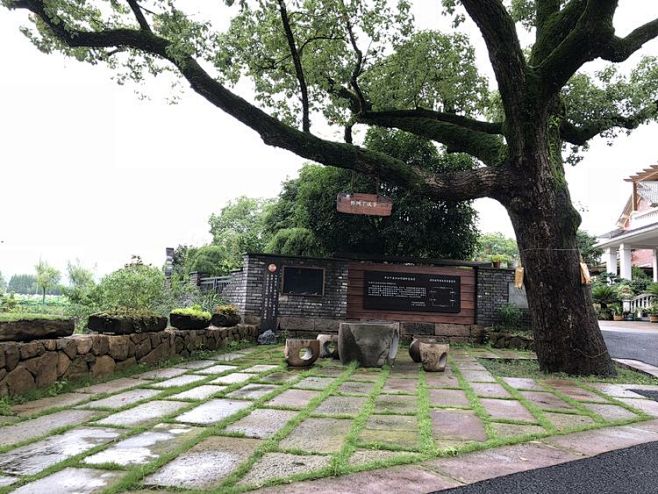 小古城村美丽乡村建设之行之思