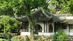 ZRT-兔采集到园林造景