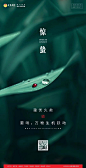 【知识星球：地产重案】惊蛰
