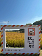 草鞋山考古遗址公园 - 小红书