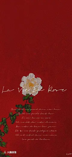 壁纸#三至采集/唯美可爱壁纸呦#