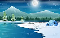 北极熊,景象,夜晚,冬天,圆顶雪屋,雪,壁纸,自然美,动物,问候