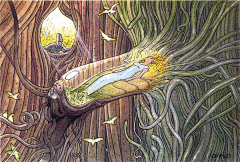 PwHteGh4采集到Jean Giraud