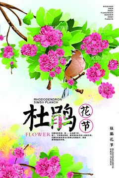 杜鹃花海报  - 源文件下载【酷图网】杜鹃花海报,唯美,中国风,杜鹃花,小清新,唯美中国风,唯美海报,中国风海报,中国风杜鹃花,小清新海报,赏花季,花季,杜鹃花节,杜鹃,