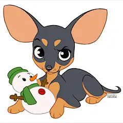 没有照片描述。