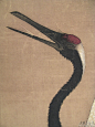 艺术成就

折叠对日本国画坛影响深远

雍正九年(1731)应日本天皇之聘，偕弟子郑培、高钧等东渡日本，历时3年，形成"南苹派"写生画，深受日人推崇，被称为"舶来画家第一"，从习画者颇多，日本江户时代长崎画派即在其影响下形成，尤以圆山应举最为著名。归得金帛散给友朋，橐仍萧然。

折叠宫廷画家

沈铨归国后声誉大震，传至京城，朝廷便下旨命沈铨作画上贡，乾隆7年作《花蕊夫人宫词意》受到好评，除此，沈铨还陆续为宫廷作吉祥寓意之画，由此沈铨及弟子童衡在中国画史上被称为宫廷画
