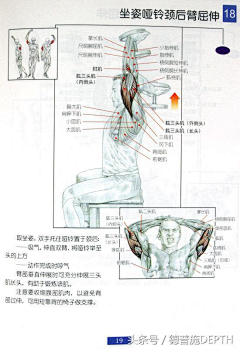 笑遥龙采集到健康