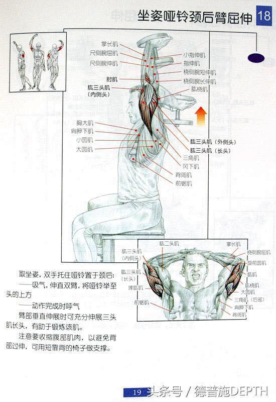 男士健身方案（请收藏）