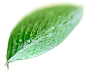 1361906108.png
