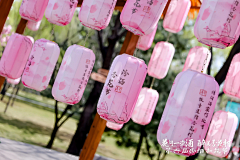 鑫民采集到活动