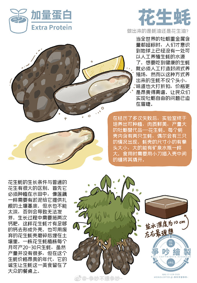 {其他}  手绘美食