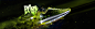  XM2560203