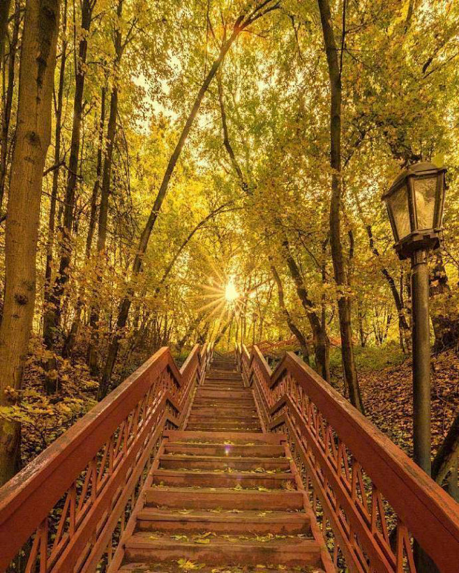 有些人之所以不断成长就绝对是有一种坚持下去的力量好读书肯下功夫