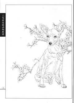 五金大队长采集到白描