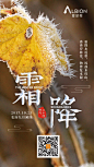 爱必侬  节气微信
霜降